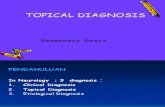 Diagnosis Topis SA
