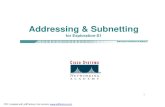 Addressing & Subnetting