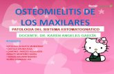 Osteomielitis Patologia