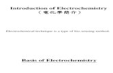 Electrochemical Sensor 061102