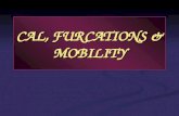 CAL, Furcation & Mobility