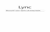 Lync Ignite Setup Guide