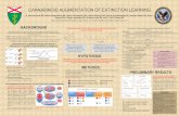 MAPS 2013 Poster Cannabinoid Augmentation of Extinction Learning