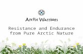 Arctic Warriors - Resistance and Endurance from Clean Arctic Nature