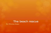 The Beach Rescue a photo story starring Panda