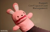Puppet configuration management