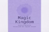 Magic Kingdom Perspective