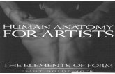 Eliot Goldfinger - Human Anatomy for Artists (the Elements of Form)