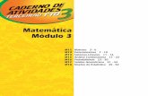 Terceirão FTD - Matematica - Caderno de Atividades 03