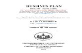Business Plan SUSU SKIM