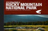 A Fly Fishing Guide to Rocky Mountain National Park