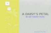 A Daisy's Petal