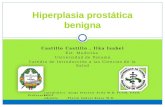 Hiperplasia Prostática Benigna UP Med