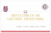 Deficiencia lactasa intestinal