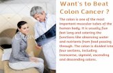 Colon cancer screening