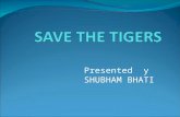 Save the tigers
