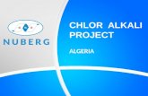 Algeria Chlor Alkali Chemical Plant