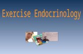 Lecture 3   exercise endocrinology