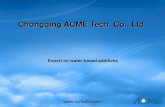 ACME Company Presentation Brochure-2015