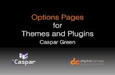 WCNC2015 - Options Pages for Themes and Plugins