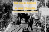 HISTORY OF NEW ZEALAND - The Gold Rushes