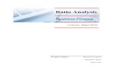 Business Finance Ratio Analysis Indus Motors