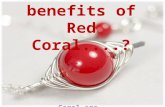 What Are The Benefits of Italian Red Coral Gemstone