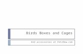 Birds Boxes and Cages