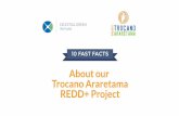 10 Fast Facts About Celestial Green Ventures' REDD+ Project