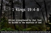 19th Sunday - First Reading - 1 Kings 19:4–8 -