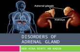 Disorders of adrenal gland
