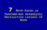 7 moth eaten or punched-out osteolytic destructive lesions of