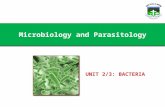 Microbiology Unit 2-3: Bacteria
