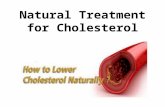 Natural treatment for cholesterol