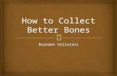 How Can You Collect Better Bones? Brandon Vallorani Has The Answer