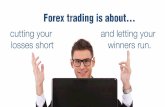 Who has the best free forex signals?
