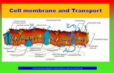 2.1- How to teach a concept. Ex.- Teaching  the concept of  Cell membrane and Transport PPT.===