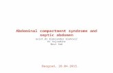 Abdominal compartment syndrome and septic abdomen