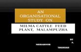An organisational study  on