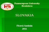 ppt of Slovakia