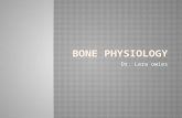 Bone physiology