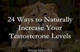 24 ways to naturally increase your testosterone levels