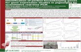 Identification of perfect housekeeping genes for gene expression studies in pigeonpea by quantitative real-time PCR