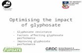 2015  ballarat crop updates-optimising the impact of glyphosate