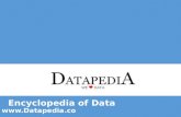 All That You Need To Know About Datapedia!