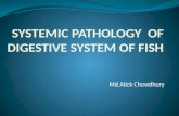 Systemic Pathology of Digestive System of Fish
