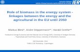 Role of biomass in the energy system – linkages between the European energy system model TIMES PanEU and the agricultural Sector Model ESIM