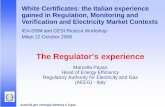 White Certificates: the Italian experience gained in Regulation, Monitoring and Verification and Electricity Market Contexts – The Italian Experience