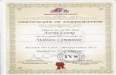 IYS Certificate