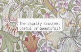 #iofnfc The charity trustee: useful or beautiful?